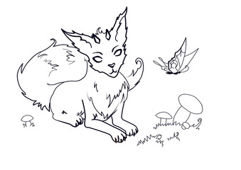 magic Fox in the meadow