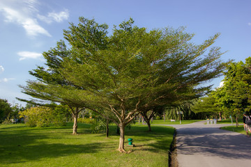 Public holiday park bankkok