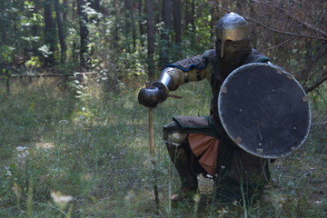  Knight with swords in the forest