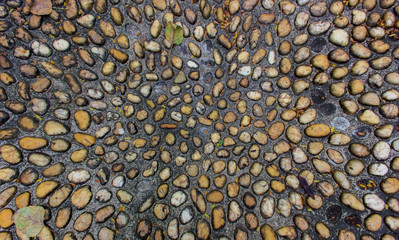 Background stone in the garden 