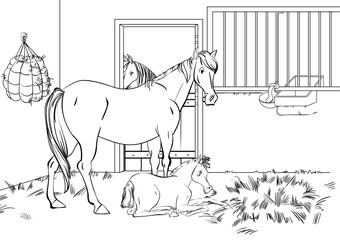 Cartoon style scene with horses for a stabling management book. Children coloring book design.