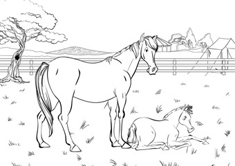Fototapeta na wymiar Cartoon style scene with horses for a stabling management book. Children coloring book design.