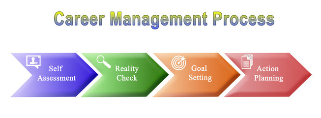  Career Management Process