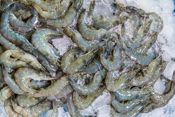 Fresh shrimps on the ice on display and sale in fish shop.  fresh shrimps from top view ready for sale at the market, shrimps background with copy space. Fresh tiger prawns with ice.