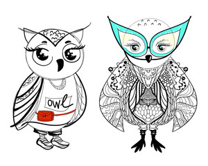 owl bird vector