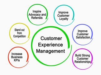  Customer Experience Management