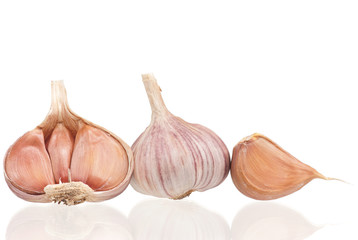 Raw garlic bulb