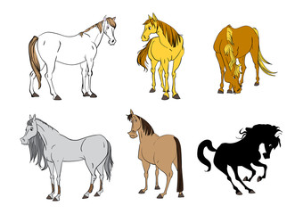 Cartoon style horse characters collection.