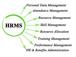 Functions of human resource management system