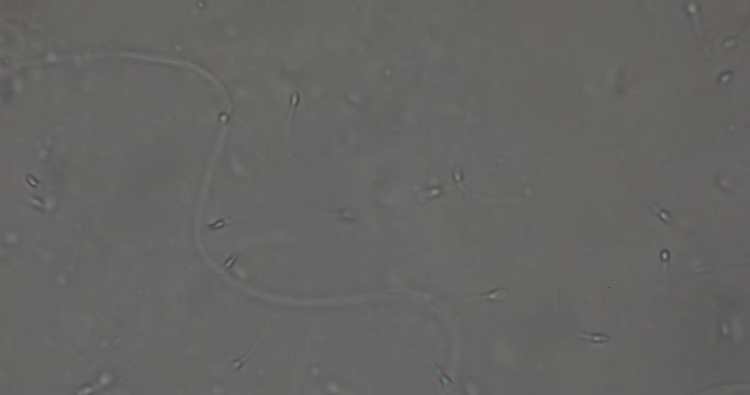 Biosph&auml;re im Micro Universum