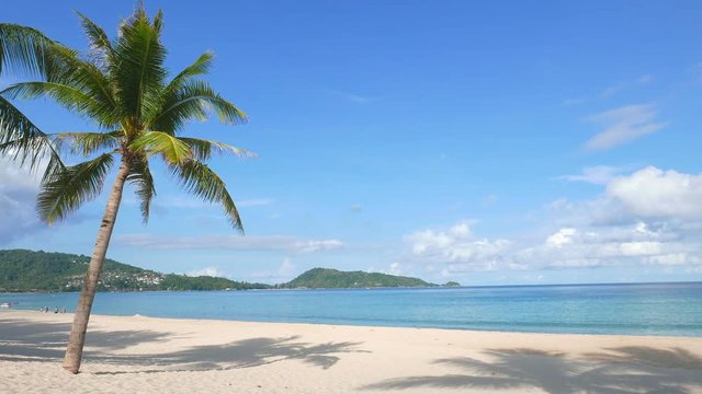 Scenic view on tropical beach with palm trees and calm sea on a sunny day