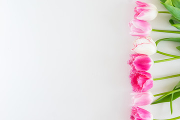 Pink and white bouquet of tulips on white background.