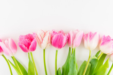 Pink and white bouquet of tulips on white background.