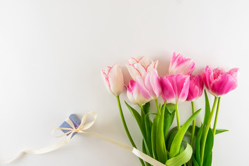 Pink and white bouquet of tulips on white background.