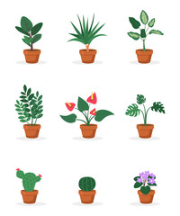 House plants in pots flat vector illustrations set