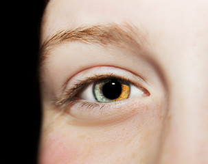 Obraz premium A beautiful insightful look eye. Close up shot