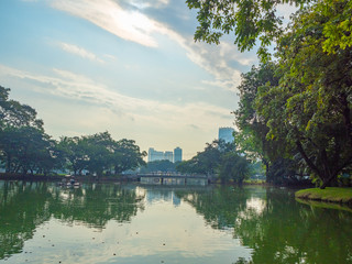 Obraz premium View of pond and green trees in city center park with cloudy blue sky