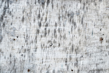 Wood texture background, natural tree