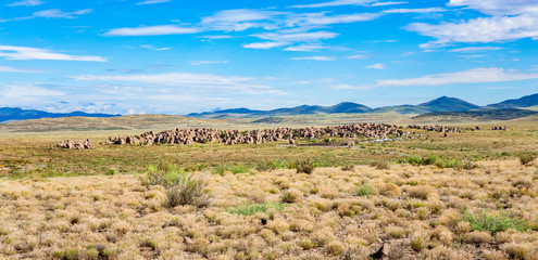 Fototapeta na wymiar City of Rocks State Park in New Mexico, USA