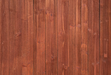 Fototapeta premium Wood texture background, natural tree