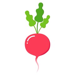 Radish icon in flat style. Isolated object, logo. Vegetable from the farm.