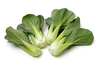 Pok Choi on white background