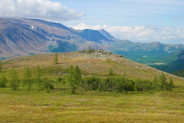 Fototapeta premium Sunny august day in the mountains of the Polar Ural. Yamalo-Nenetsky Autonomous Okrug, Russia