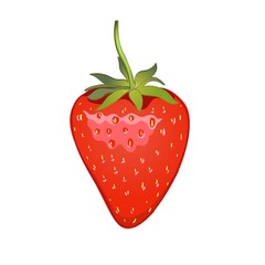 Strawberry Realistic icon vector isolated on white background