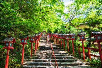 新緑の京都　貴船神社