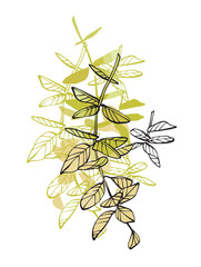 Leaves and brunches composition. Hand drawn illustration. Fullsize raster atrwork.