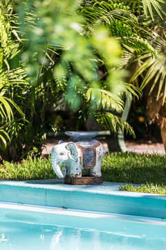 Elefant in the garden