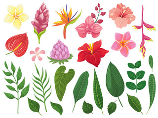 Naklejka premium Tropical flowers. Tropics flower leaves, summer leaf on branch and tropic wild plants leafs vector illustration set