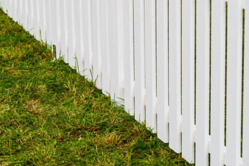 green grass and white wooden fence.