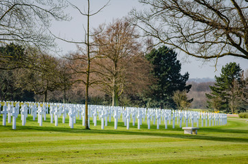 Cemetery with raws of same white crosses and green grass