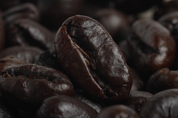 Robusta coffee beans on close up shoot