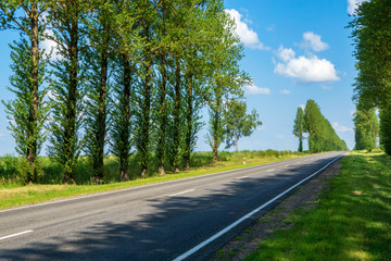 Good asphalt country highway road in field in summer