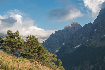 Panorama of mountains and forest scene in national park of Dombay, Russia