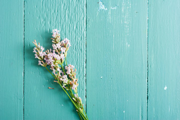 pink lavender flowers on blue wood table background