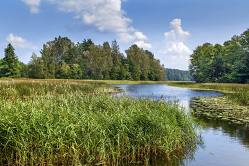 Aukstaitija National Park, Lithuania © borisb17