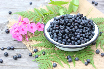 bowl of ripe forest blueberries on the table.