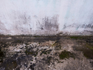 An dirty wall with lichen as a background