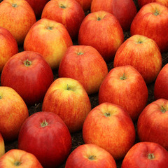 Full frame image of fresh red apples in a market