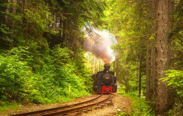 Mocanita steam train in forest from Bucovina or Maramures, Romania