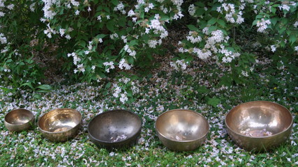 Reihe von Klangschalen mit Blütenblättern