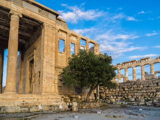 Porch of Poseidon, part of Erechtheion, sacred olive tree, walls of temple of Athena Polias on...