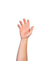 Male bare hand raising up against white background