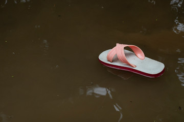 White shoes with pink stripes floating on the water.
