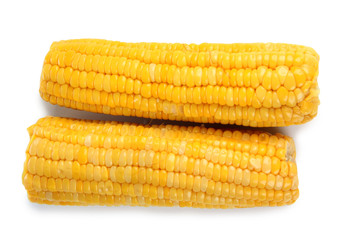 Yellow fresh corn on a white background