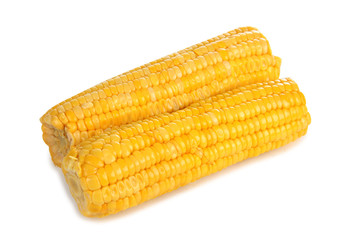 Yellow fresh corn on a white background