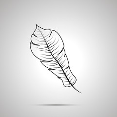 Exotic feather outline simple black icon